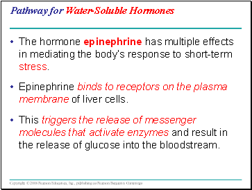 Pathway for Water-Soluble Hormones