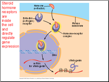 Steroid hormone receptors