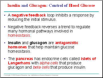 Insulin and Glucagon: Control of Blood Glucose