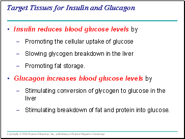 Target Tissues for Insulin and Glucagon