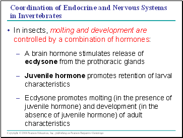 Coordination of Endocrine and Nervous Systems in Invertebrates