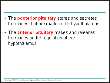 The posterior pituitary stores and secretes hormones that are made in the hypothalamus