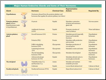 Hormones and the Endocrine System