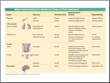 Hormones and the Endocrine System