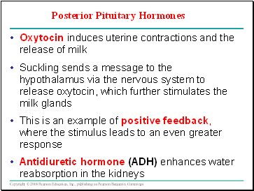 Posterior Pituitary Hormones