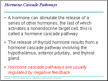 Hormone Cascade Pathways