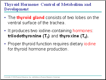 Thyroid Hormone: Control of Metabolism and Development