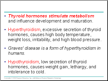 Thyroid hormones stimulate metabolism and influence development and maturation.