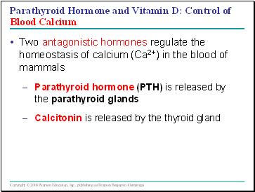 Parathyroid Hormone and Vitamin D: Control of Blood Calcium