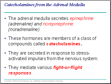 Catecholamines from the Adrenal Medulla