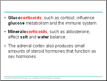 Glucocorticoids, such as cortisol, influence glucose metabolism and the immune system.