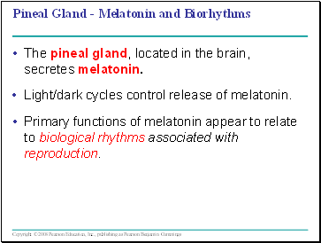 Pineal Gland - Melatonin and Biorhyths