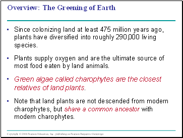 How Plants Colonized Land