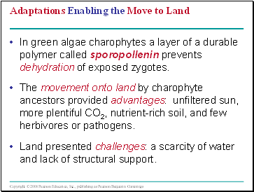 Adaptations Enabling the Move to Land