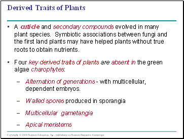 Derived Traits of Plants