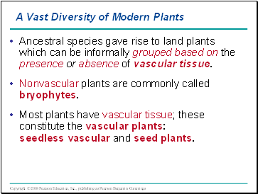 A Vast Diversity of Modern Plants