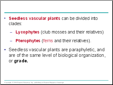 Seedless vascular plants can be divided into clades: