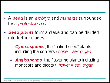 A seed is an embryo and nutrients surrounded by a protective coat.