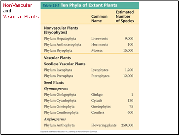 NonVascular and Vascular Plants