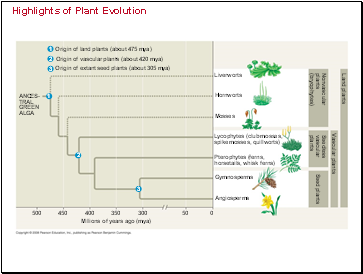 Highlights of Plant Evolution