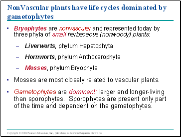 NonVascular plants have life cycles dominated by gametophytes