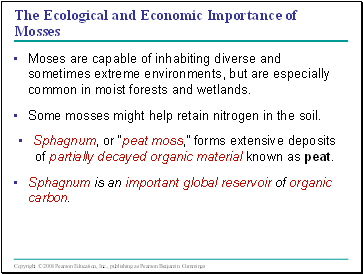 The Ecological and Economic Importance of Mosses