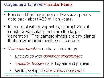 Origins and Traits of Vascular Plants