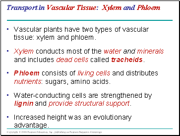 Transport in Vascular Tissue: Xylem and Phloem