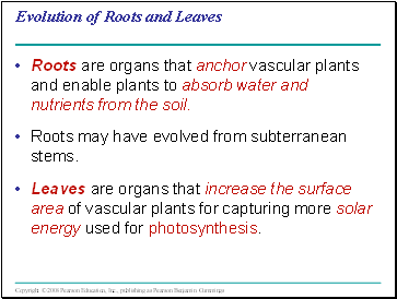 Evolution of Roots and Leaves