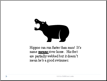 Hippos can run faster than man! Its name means river horse. His feet are partially webbed but it doesnt mean hes a good swimmer.