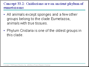 Concept 33.2: Cnidarians are an ancient phylum of eumetazoans
