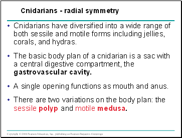 Cnidarians have diversified into a wide range of both sessile and motile forms including jellies, corals, and hydras.