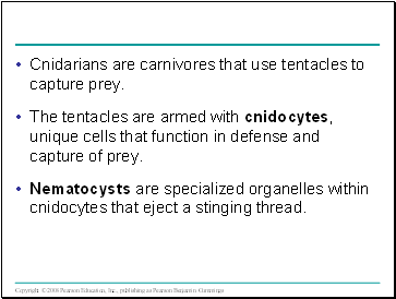 Cnidarians are carnivores that use tentacles to capture prey.