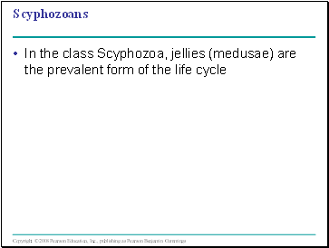 Scyphozoans