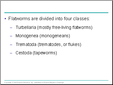 Flatworms are divided into four classes: