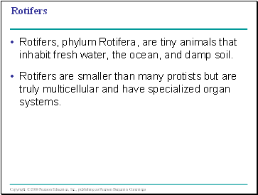 Rotifers