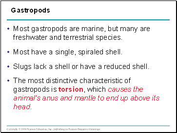 Most gastropods are marine, but many are freshwater and terrestrial species.