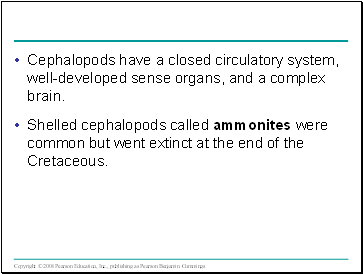 Cephalopods have a closed circulatory system, well-developed sense organs, and a complex brain.