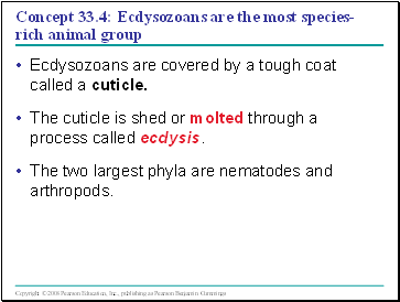 Concept 33.4: Ecdysozoans are the most species-rich animal group