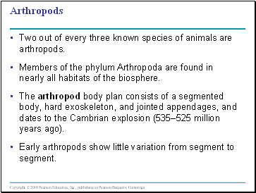 Arthropods