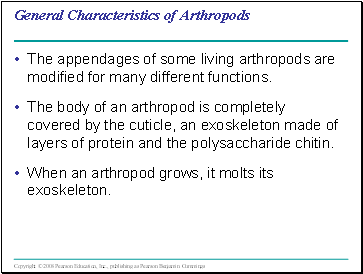 General Characteristics of Arthropods