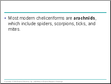 Most modern cheliceriforms are arachnids, which include spiders, scorpions, ticks, and mites.