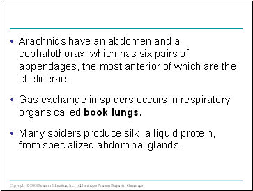 Arachnids have an abdomen and a cephalothorax, which has six pairs of appendages, the most anterior of which are the chelicerae.