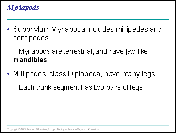 Myriapods