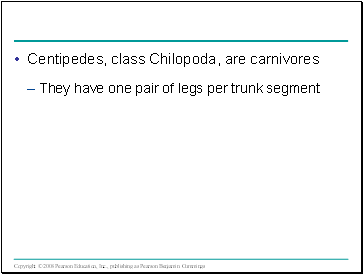 Centipedes, class Chilopoda, are carnivores