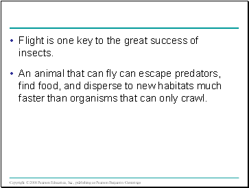 Flight is one key to the great success of insects.