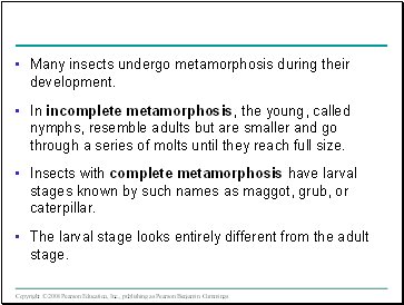 Many insects undergo metamorphosis during their development.