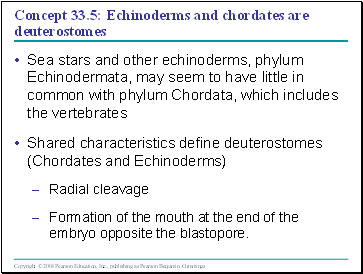 Concept 33.5: Echinoderms and chordates are deuterostomes