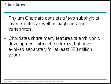 Chordates