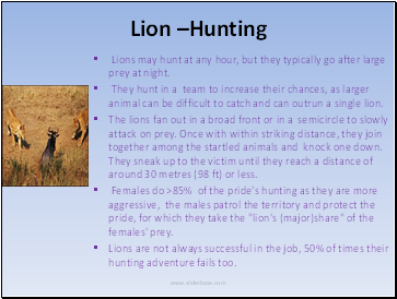 Lion Hunting